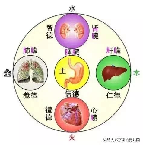 五行體質